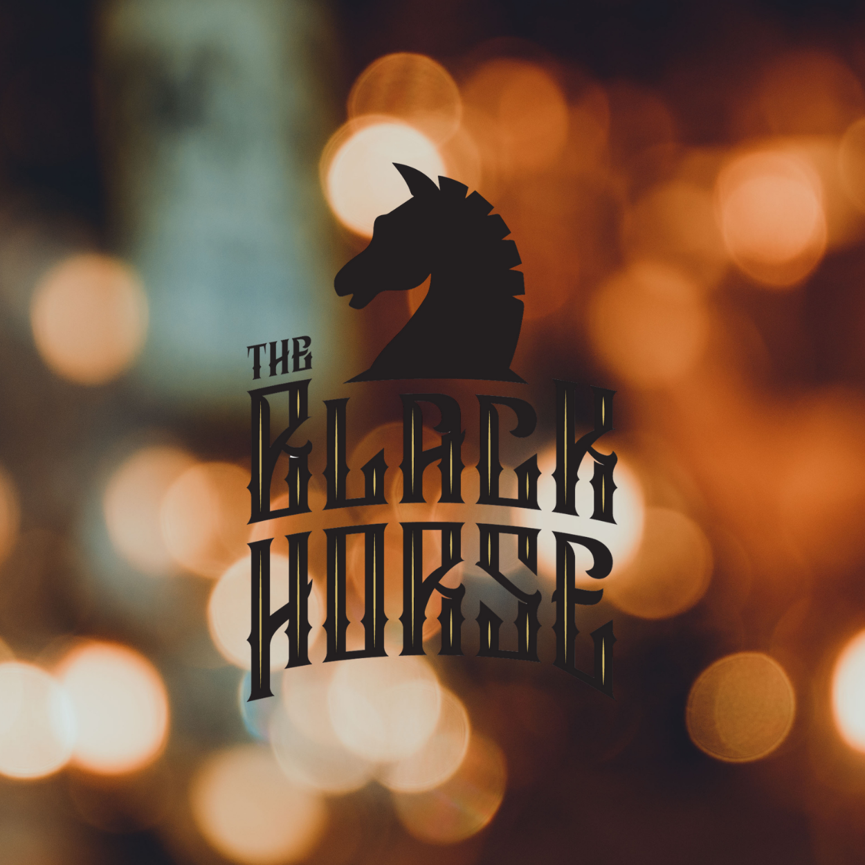 VIELÄ SALAINEN VALEPORILAINEN