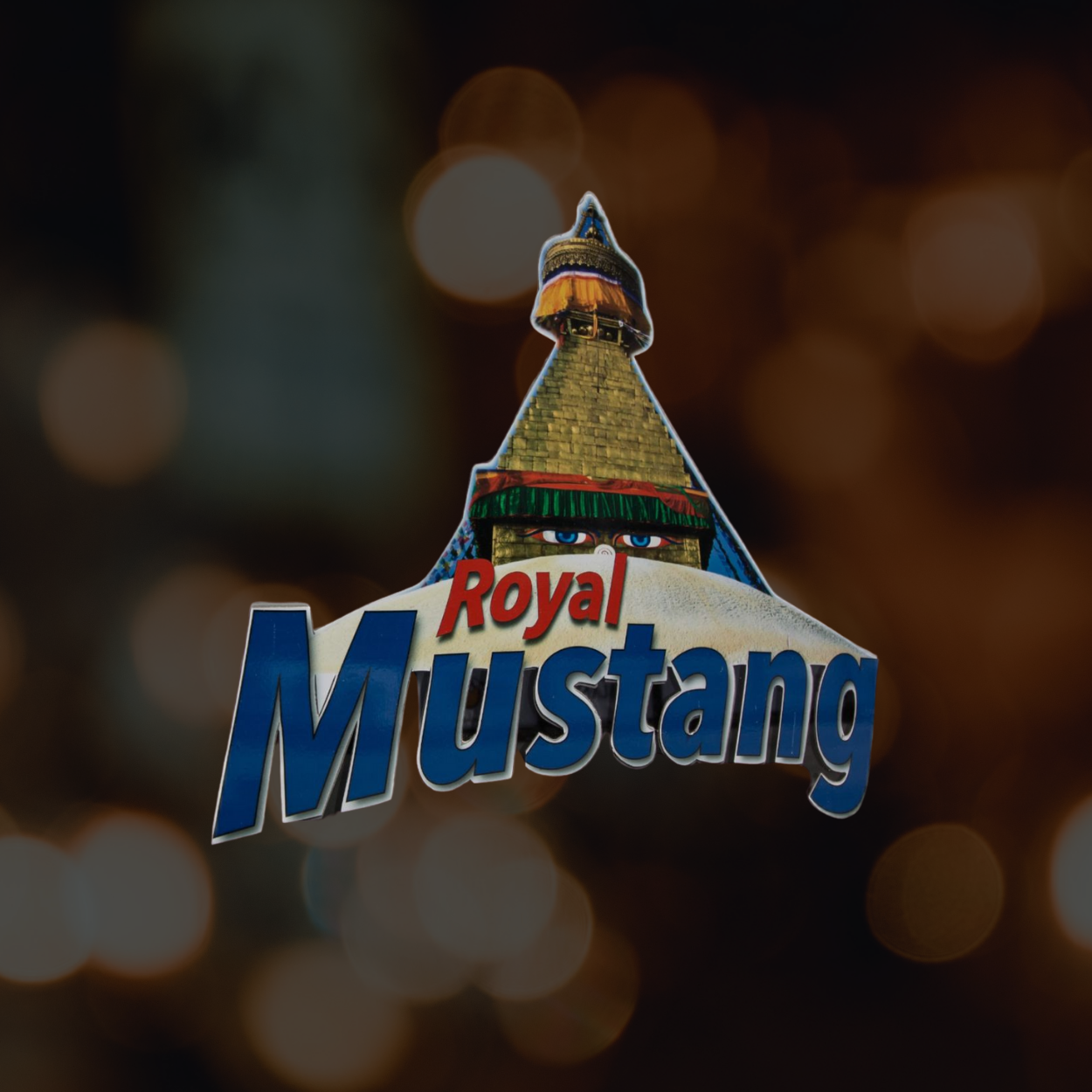 VIELÄ SALAINEN VALEPORILAINEN